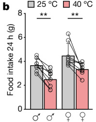 Fig1_b 子图