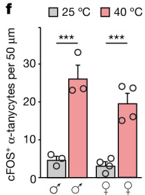 Fig1_f 子图
