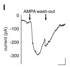 Extended Data Fig6l