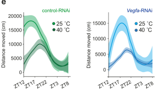 Extended Data Fig10d