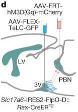 Fig5_d 子图