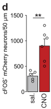 Extended Data Fig4d