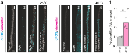 Extended Data Fig9a