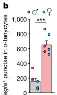 Fig4_b 子图