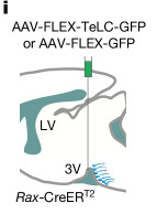 Fig4_i 子图