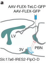 Fig5_a 子图
