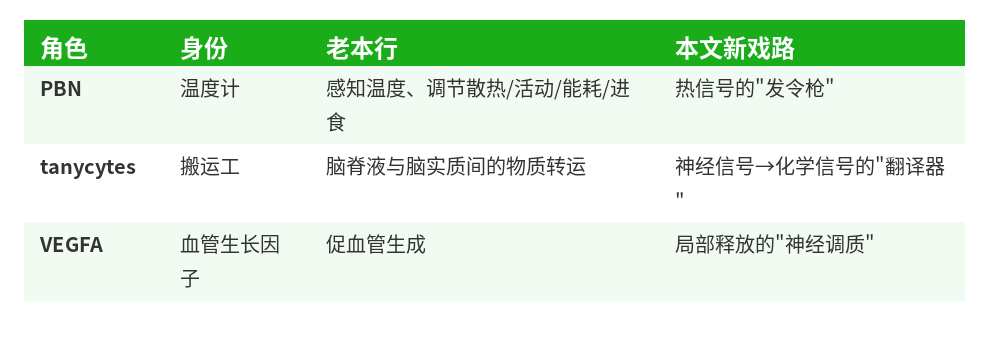 三位主角角色表