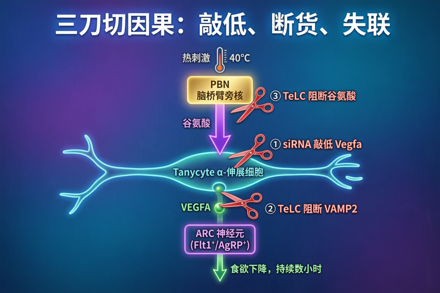 三刀切因果